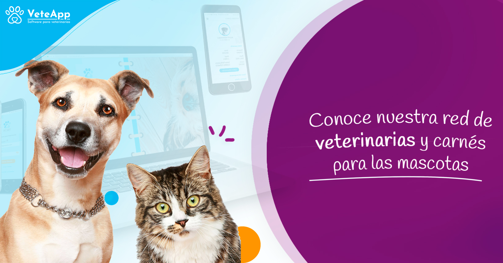 Conoce nuestra red de veterinarias y carnés para las mascotas